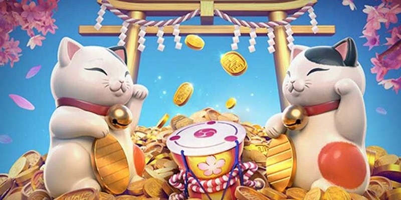 Mèo tài lộc cung cấp với đa dạng tính năng hỗ trợ